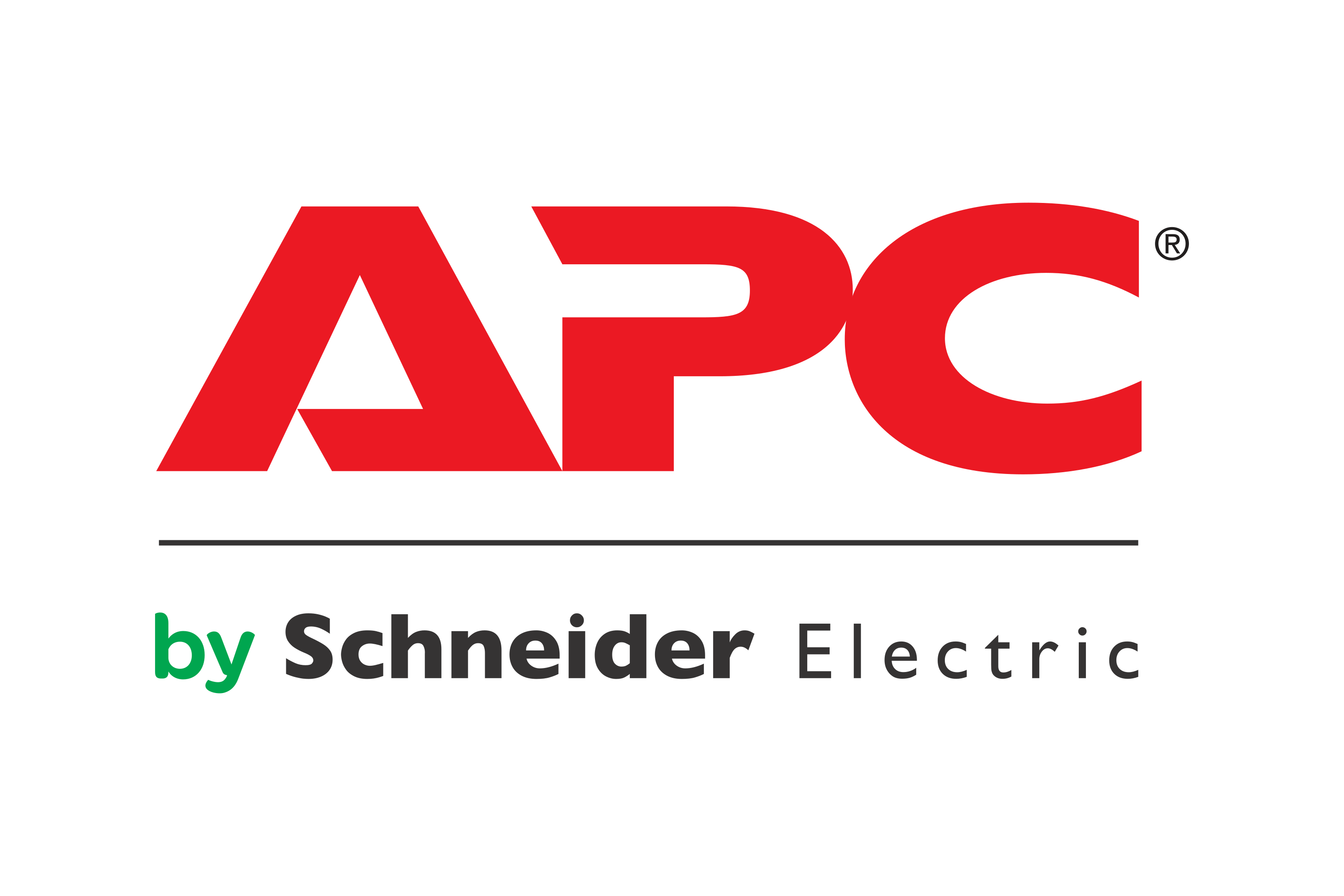 APC_by_Schneider_Electric-Logo.wine (1)