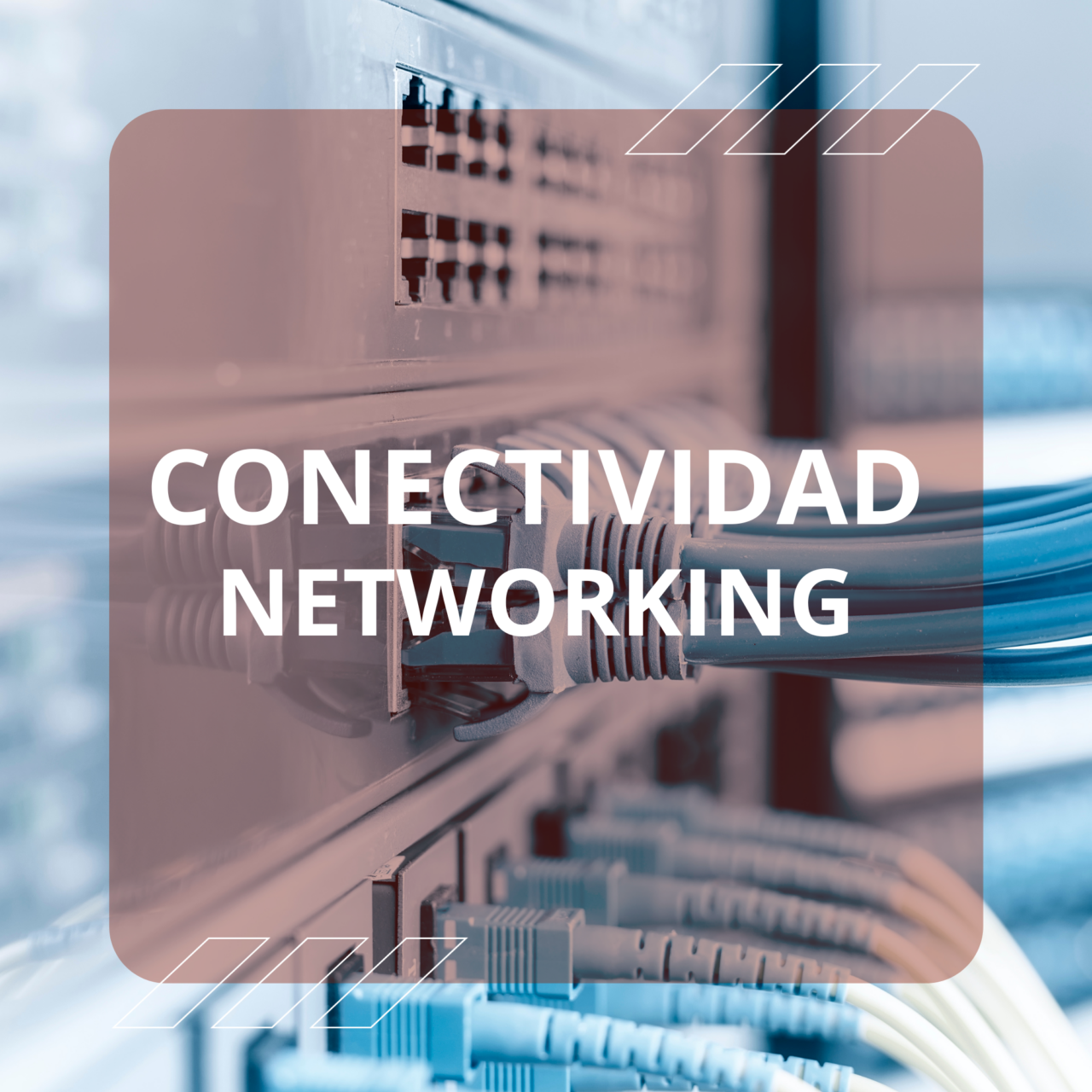 https://www.lintech.cl/wp-content/uploads/2024/01/portafolio-5-1280x1280.png